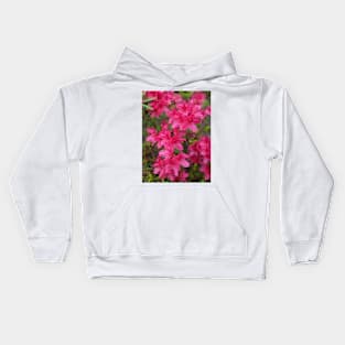 Pink Flowers on a Bush Photographic Image Kids Hoodie